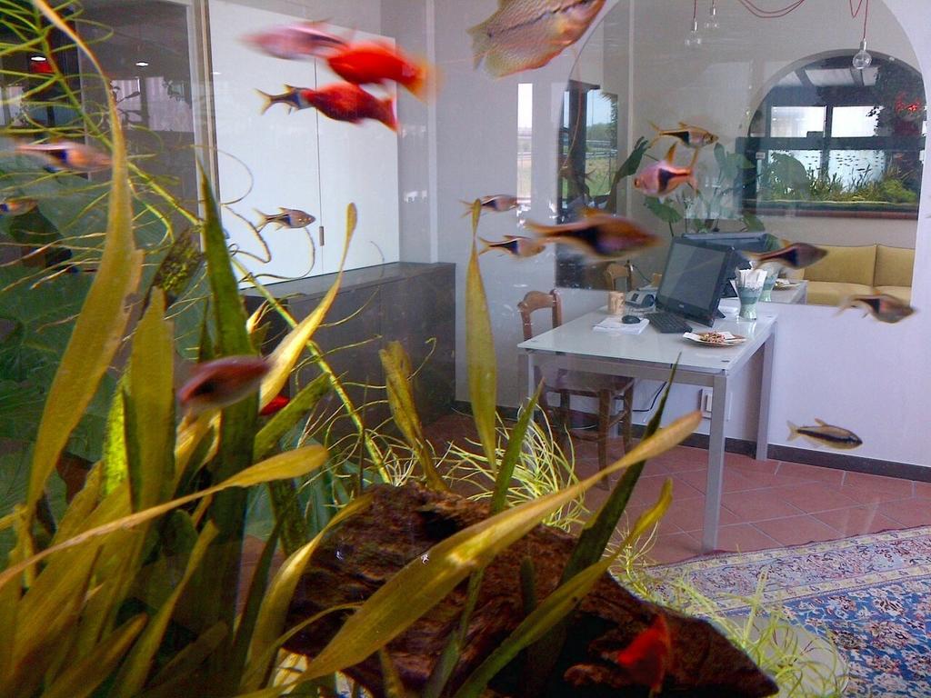 Locanda Ai Due Orsi Milano Exteriör bild